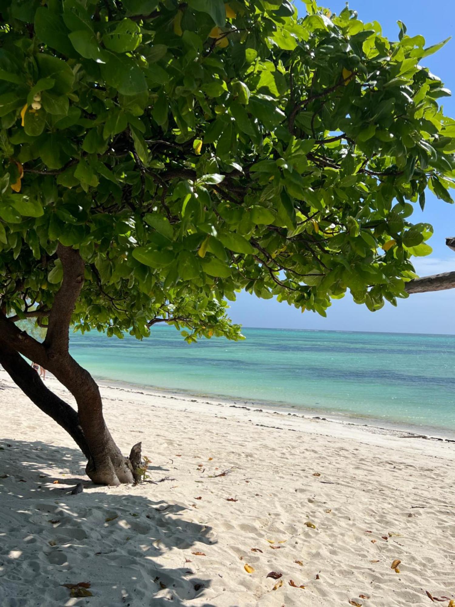 Ujamaa Beach Resort Makunduchi エクステリア 写真