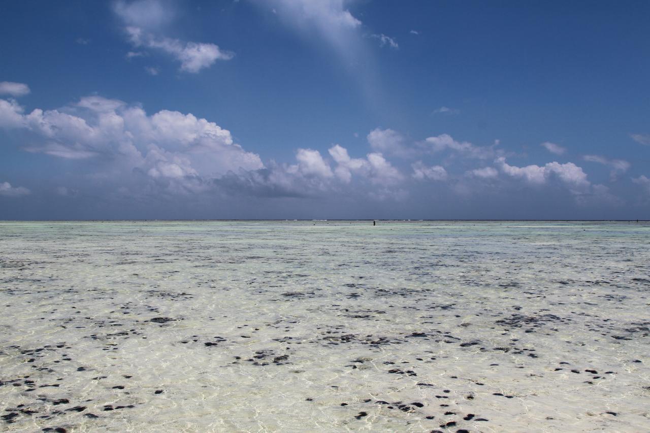 Ujamaa Beach Resort Makunduchi エクステリア 写真