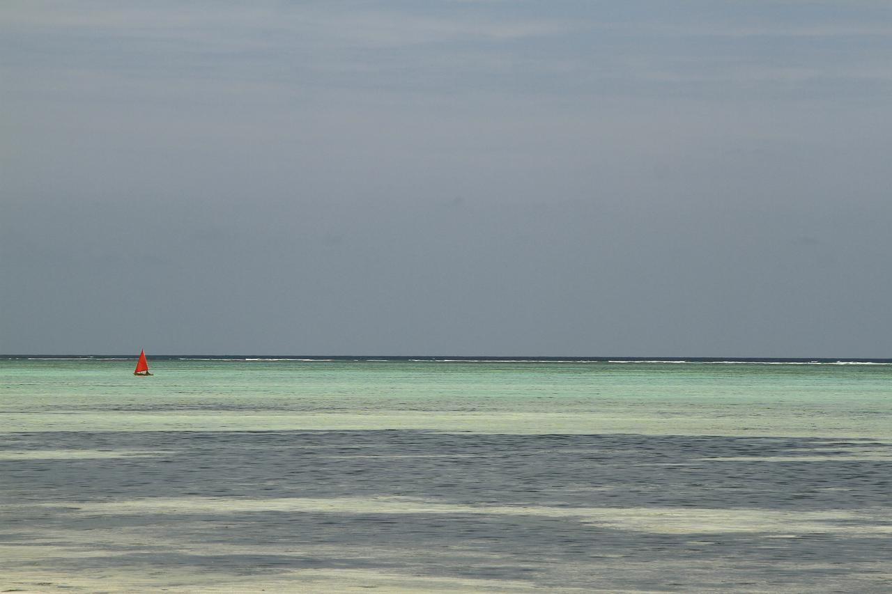Ujamaa Beach Resort Makunduchi エクステリア 写真